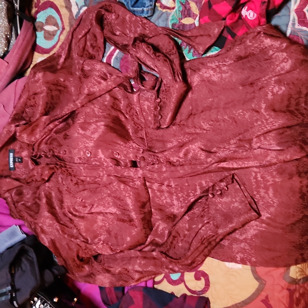 Express vintage dress
